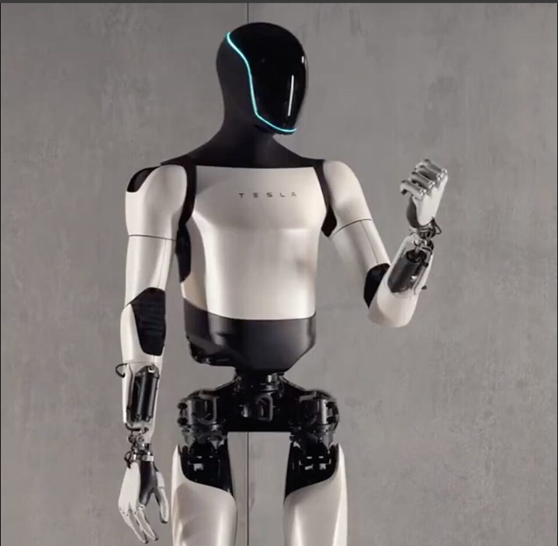 Alexa Powered electronic robot